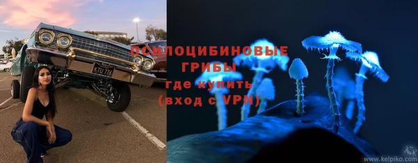 2c-b Липки