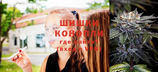 тгк Лиски