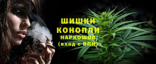 тгк Лиски