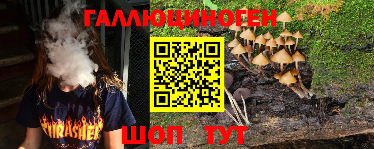 Галлюциногенные грибы мухоморы  Вход с VPN  Мариинск 
